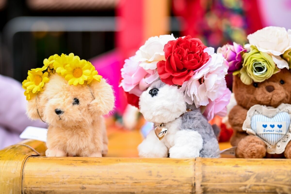 三福爱整活！在泉州来了场新年妙会！-广告人干货库