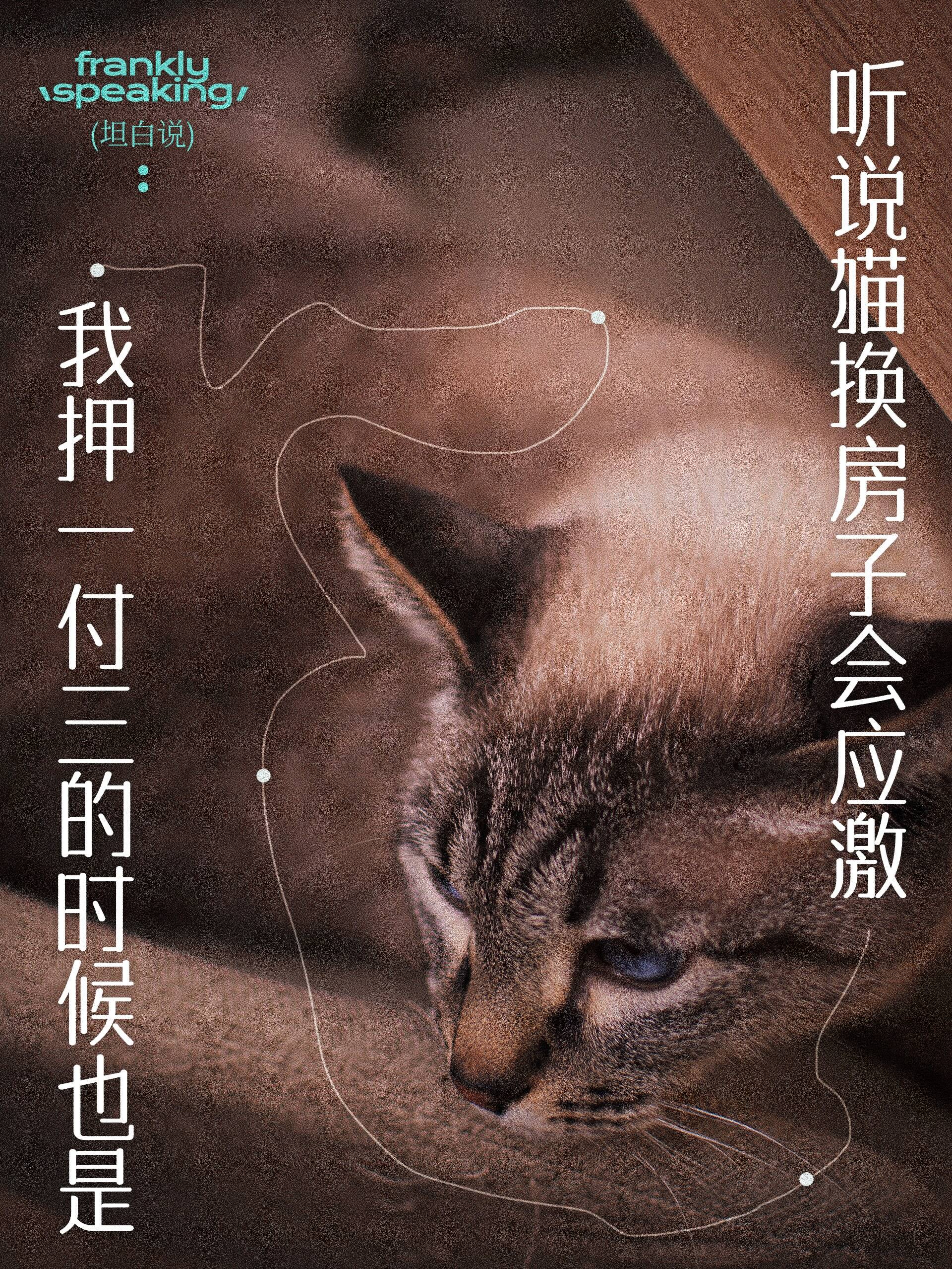 广告人干货库 没客户没名气,创业团队干了一组大实话海报-广告人干货库