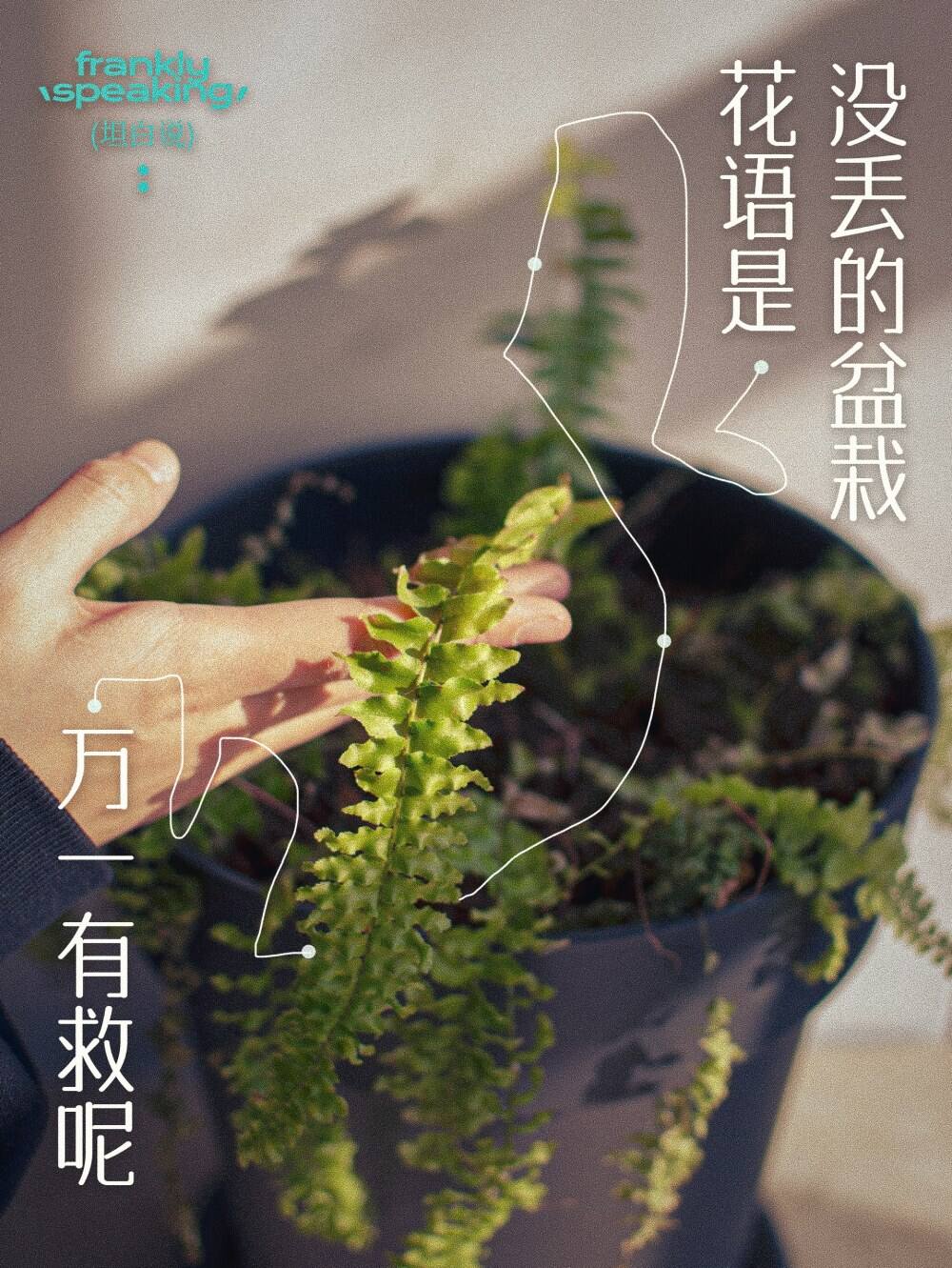 没客户没名气，创业团队干了一组大实话海报-广告人干货库