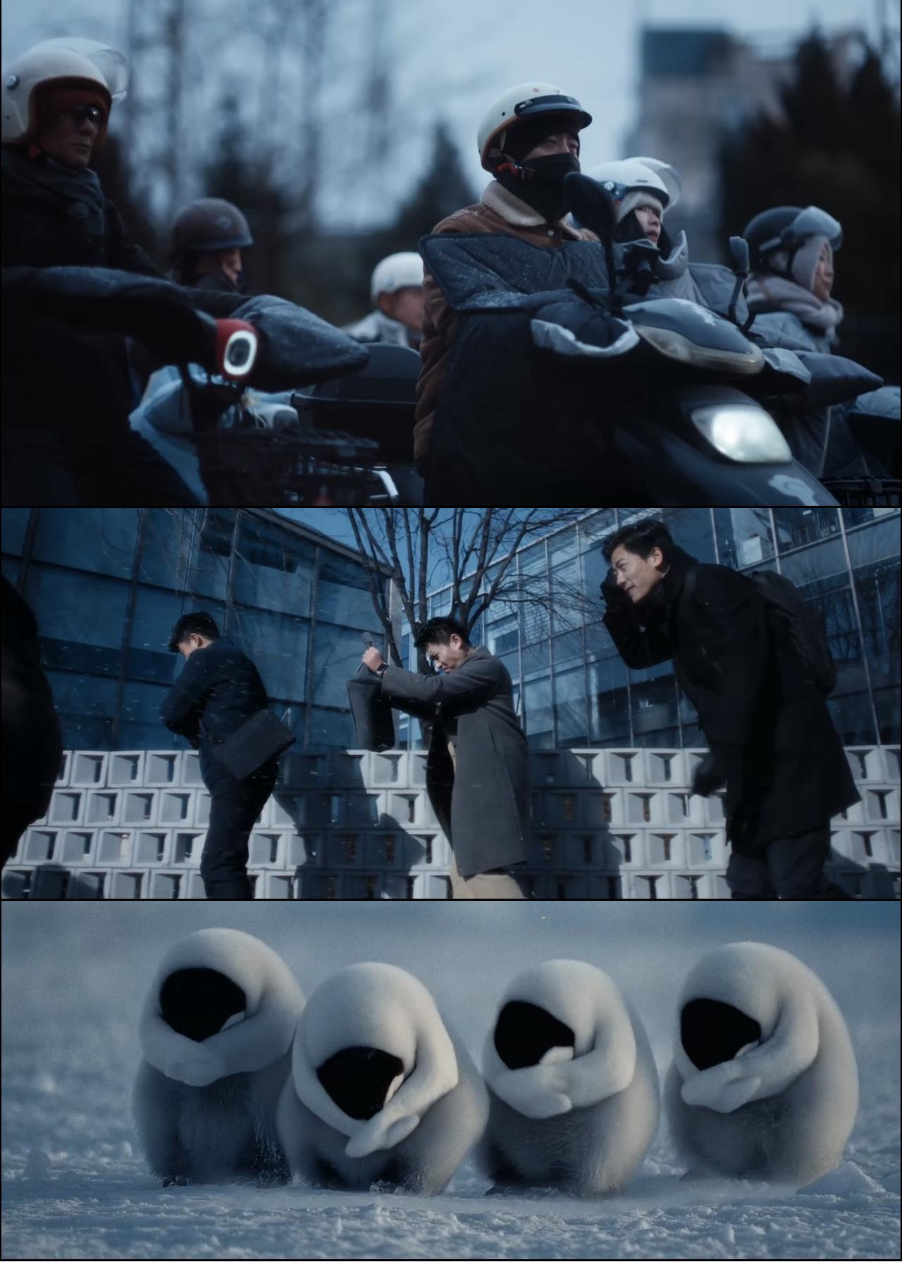 伊利：在这个冬至，把“冷”聊透，把“暖”做实-广告人干货库