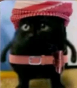 这届APP年度报告是懂怎么阴阳怪气的，太好笑了。。-广告人干货库