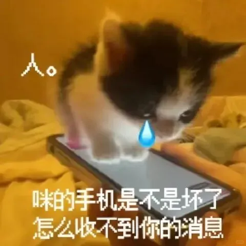 广告人干货库 这届APP年度报告是懂怎么阴阳怪气的,太好笑了。。-广告人干货库