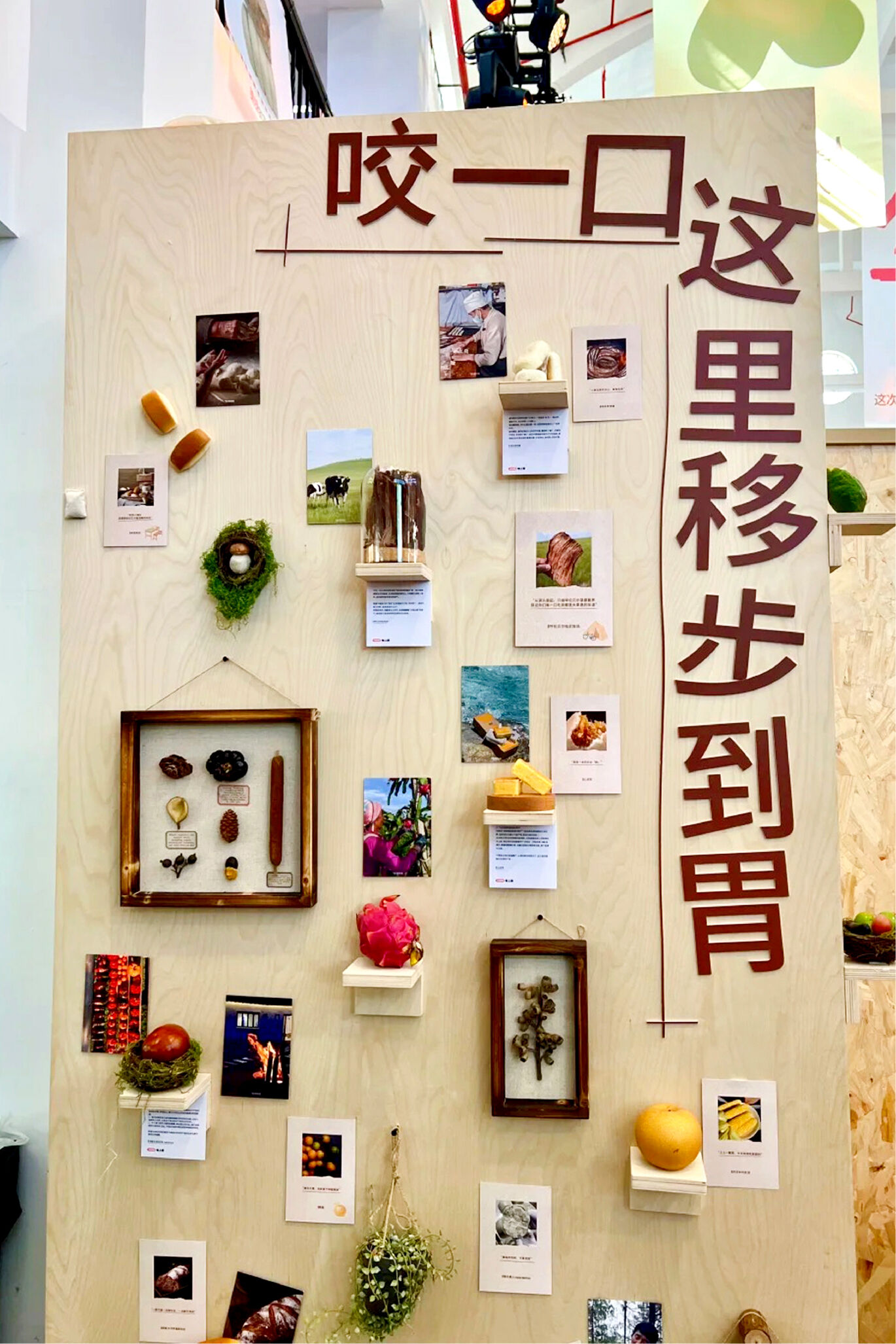 广告人干货库 小红书市集:秋上新,祝你逛得开心-广告人干货库