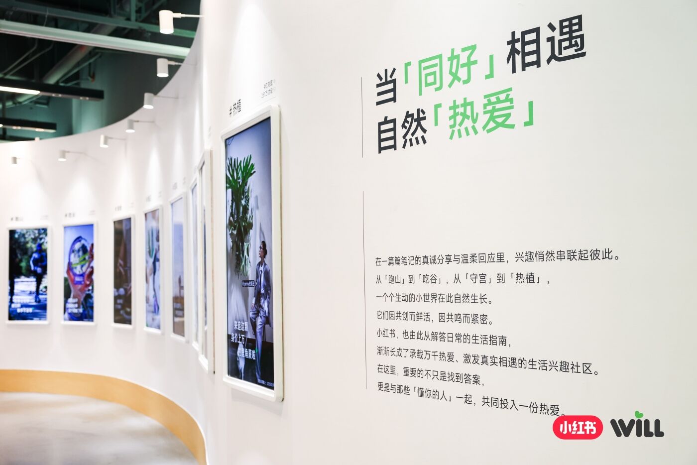 广告人干货库 2026小红书WILL商业大会:种草的故事,有了新的篇章-广告人干货库