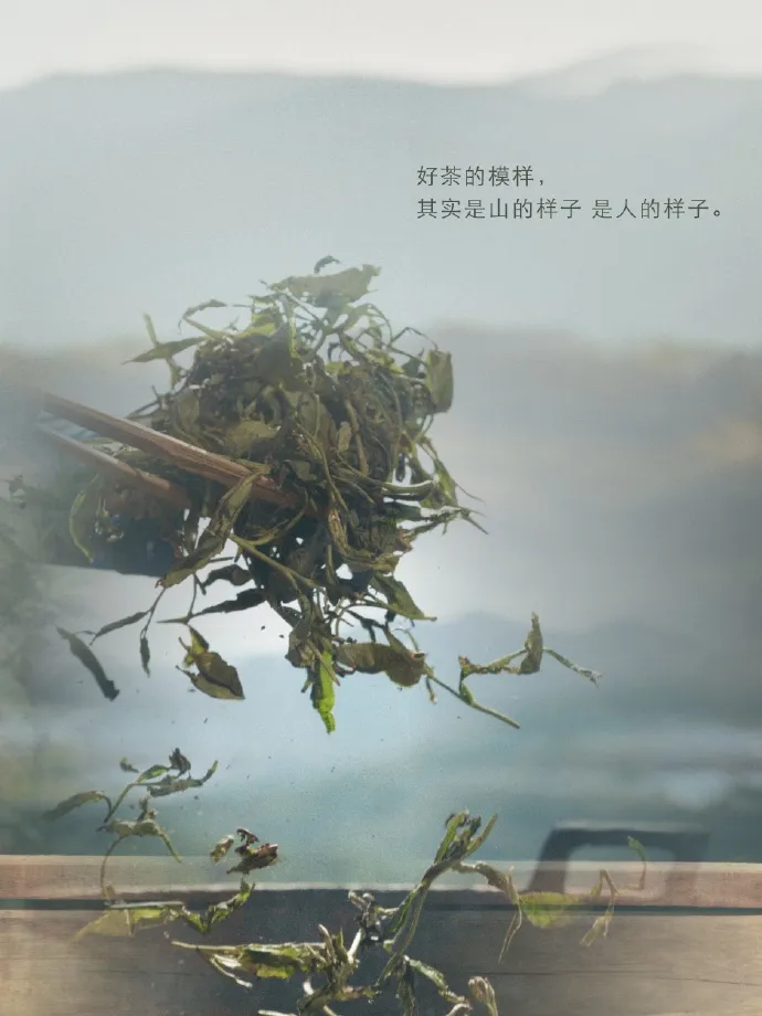 2025年爆款茶饮案例!它们凭何突围?-广告人干货库