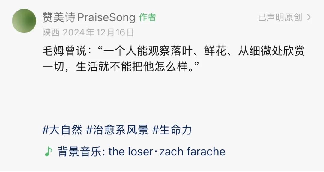 2025年，我心中最好的25句文案-广告人干货库