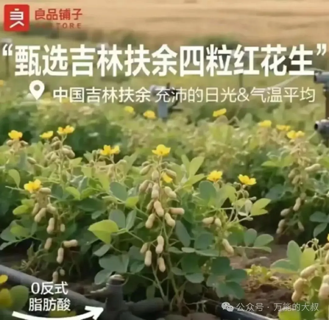 2025年度十大危机公关盘点-广告人干货库