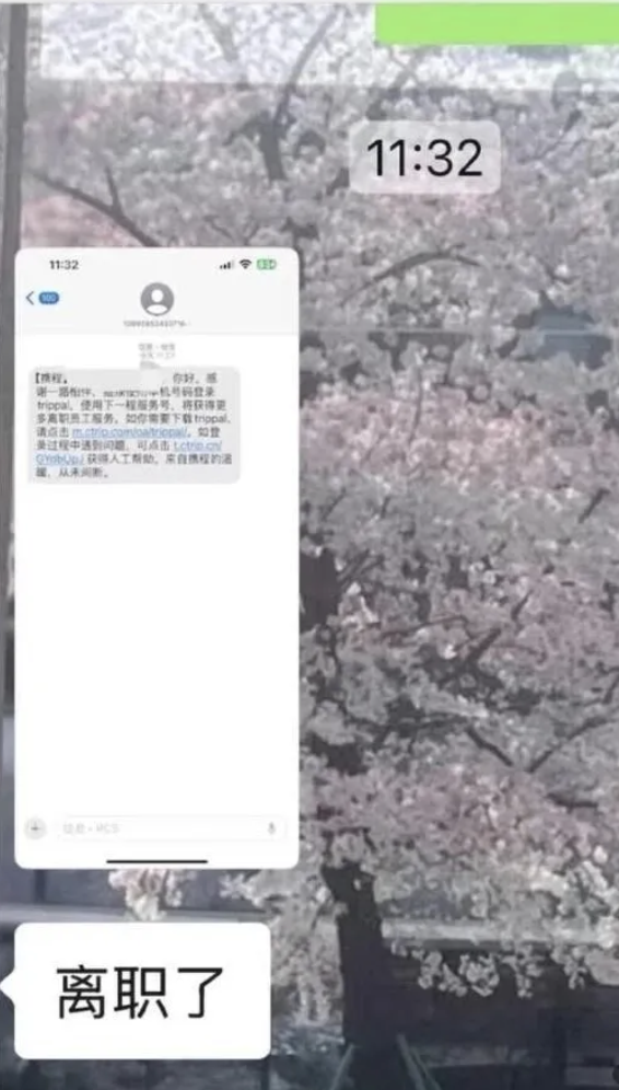 离谱！携程误发全员离职通知-广告人干货库