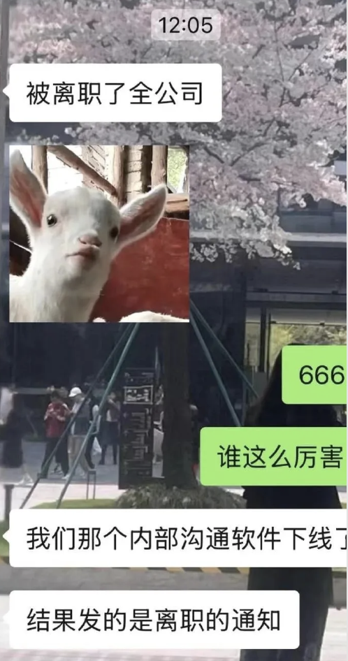 离谱！携程误发全员离职通知-广告人干货库