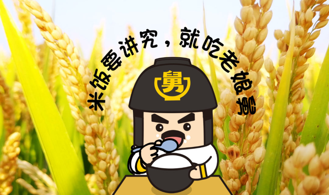 视觉锤被低估战略资产远超过超级符号-广告人干货库