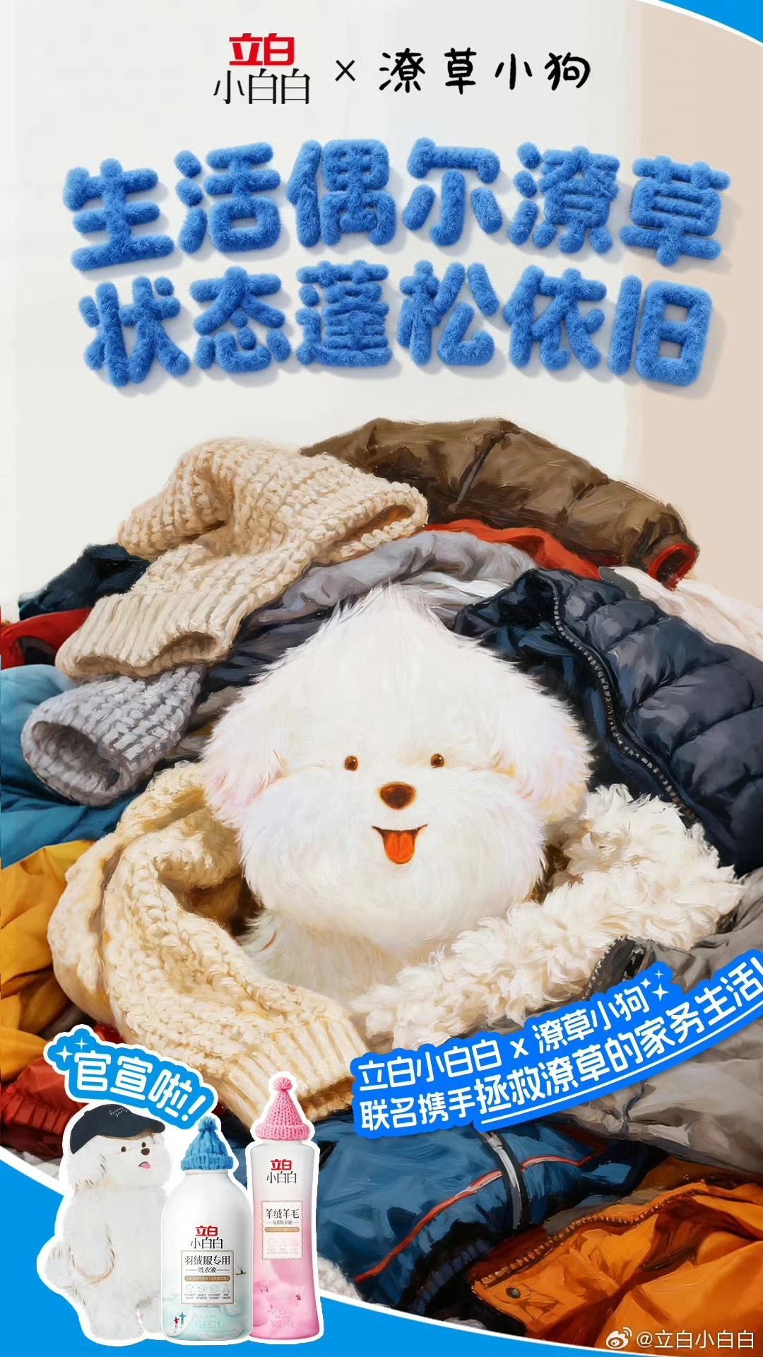 立白x潦草小狗｜生活偶尔潦草 状态依旧蓬松-广告人干货库