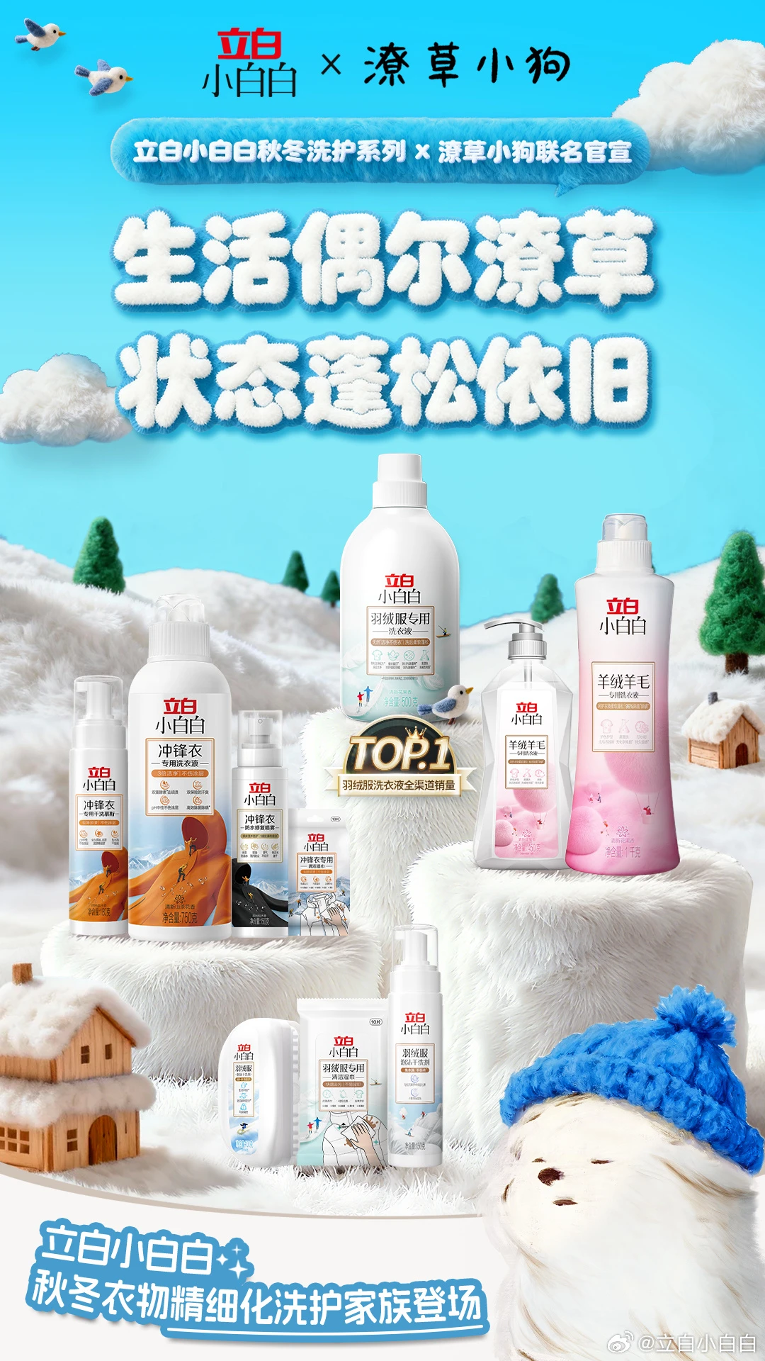 立白x潦草小狗｜生活偶尔潦草 状态依旧蓬松-广告人干货库