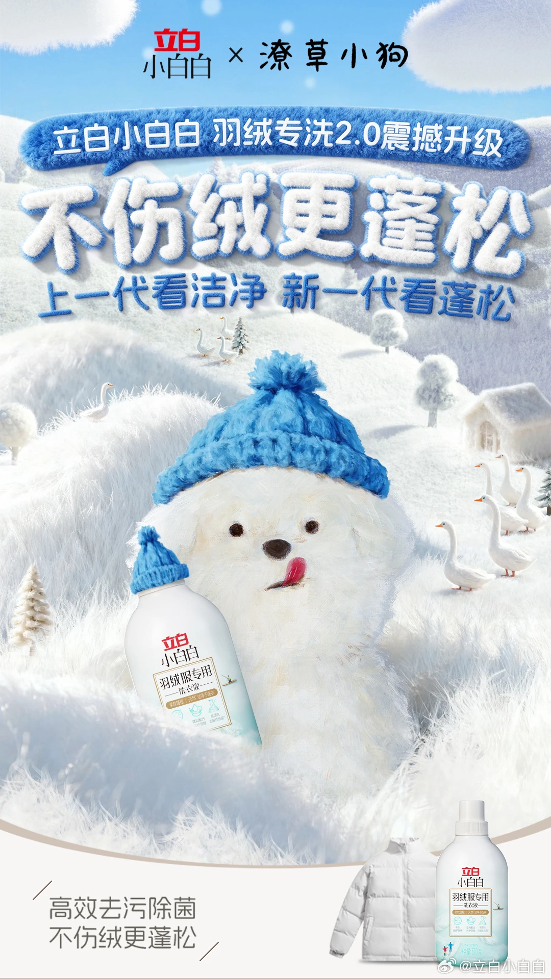 立白x潦草小狗｜生活偶尔潦草 状态依旧蓬松-广告人干货库