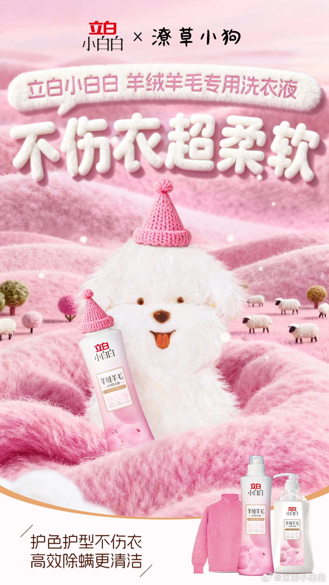 立白x潦草小狗｜生活偶尔潦草 状态依旧蓬松-广告人干货库