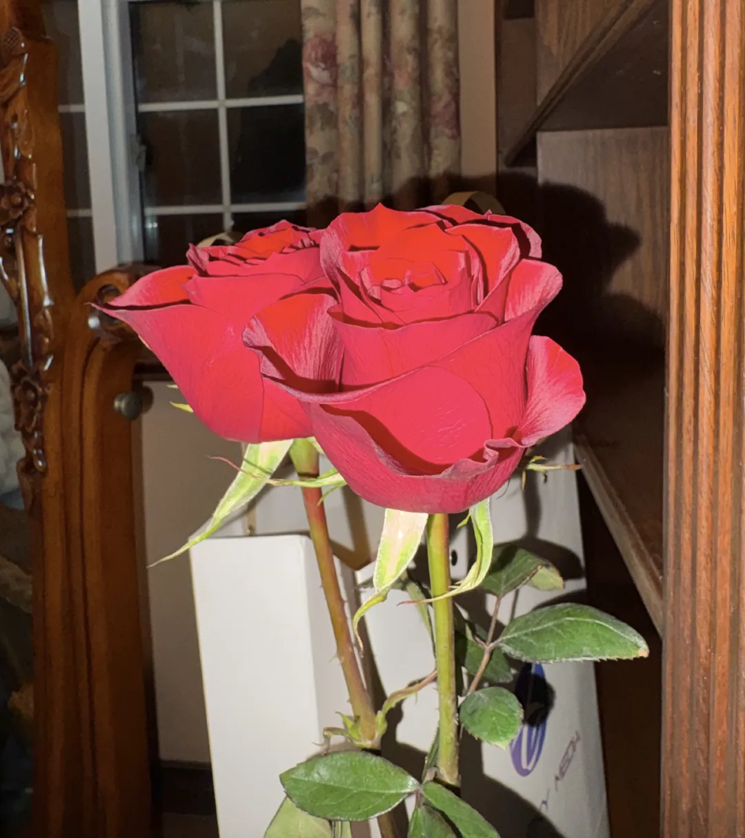 意类｜刘晓庆x鹭卓：这广告怎么全是套路-广告人干货库