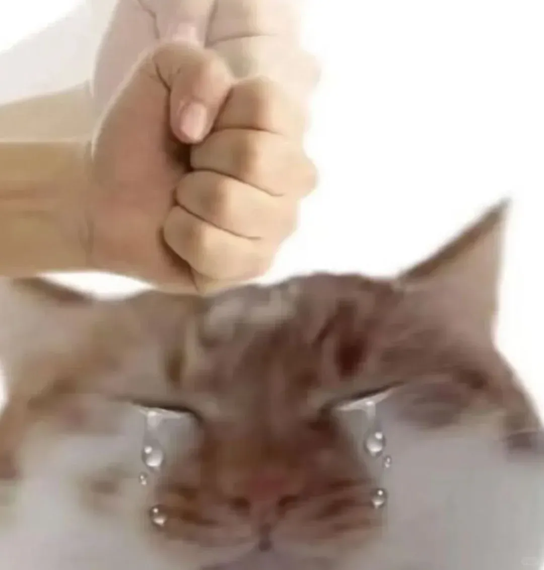 甲方为省预算，让乙方自己扣自己钱？演都不演了。。。-广告人干货库