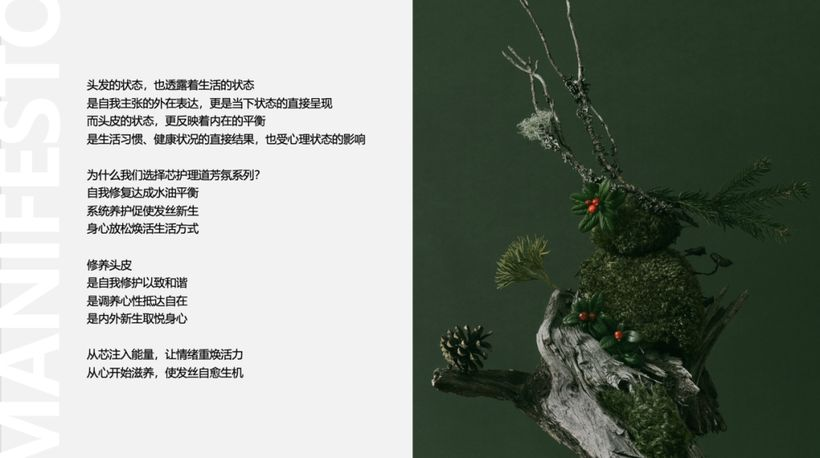 资生堂：芳氛头皮系列头皮护理主题推广-广告人干货库