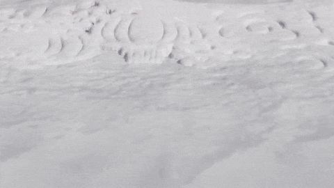 蒙牛X张艺谋：冬奥遇上中国年，2026再「开幕」-广告人干货库