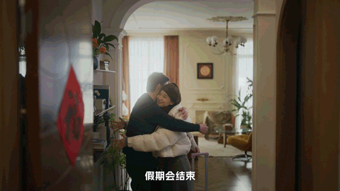 蚂蚁阿福×何炅：这次过年，带个朋友回家-广告人干货库