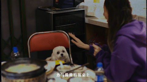 广告人干货库 美团团购×窦文涛:一年到头,最重要的一「句」-广告人干货库