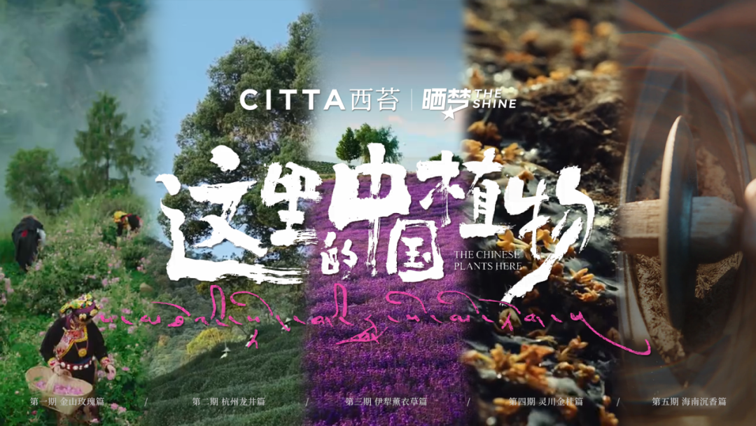 晒梦三周年｜年轻人，做广告有什么意义？-广告人干货库