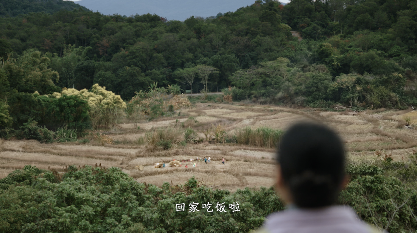 广告人干货库 央视春晚公益广告《回家吃饭》:中国人的爱,都在“回家吃饭”里-广告人干货库
