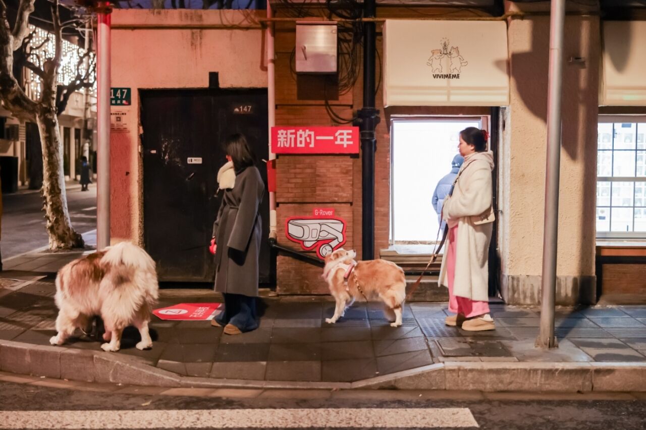 广告人干货库 石头科技:马年不马马马马马了,先跨了再说!-广告人干货库