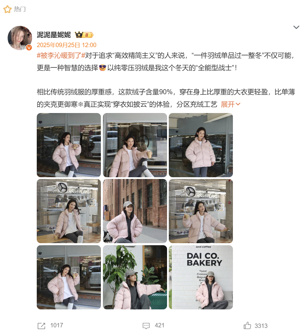 广告人干货库 透过羽绒服,说说如何做品牌-广告人干货库