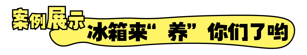 我们在容声冰箱抖音小红书做人的一年-广告人干货库
