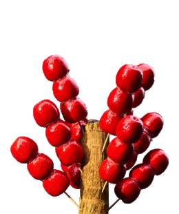 宝马车顶，成2026最强许愿“宝地”-广告人干货库