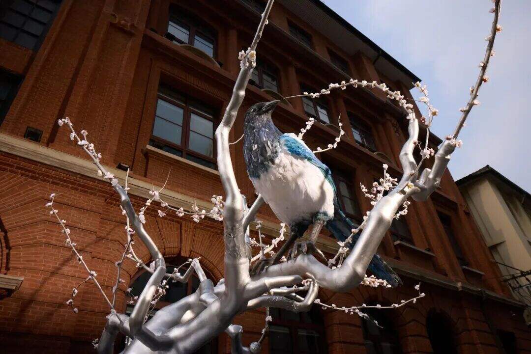 广告人干货库 宝马车顶,成2026最强许愿“宝地”-广告人干货库