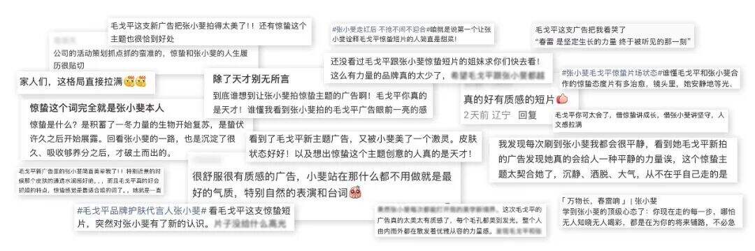 广告人干货库 毛戈平:张小斐的「生长蛰学」-广告人干货库