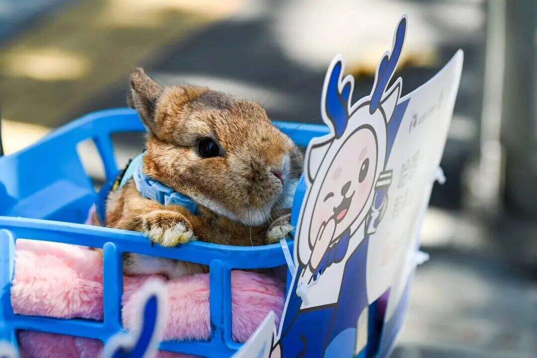 广告人干货库 哈啰 X 瑞幸:迈出通勤路变消费场的第一步-广告人干货库