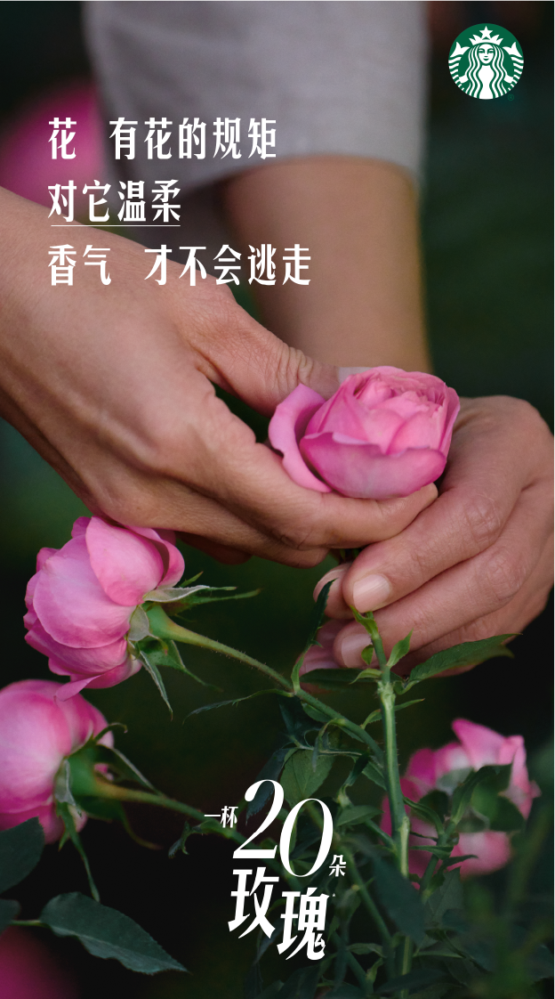 广告人干货库 星巴克「玫瑰20」:花与花农,高定为你-广告人干货库