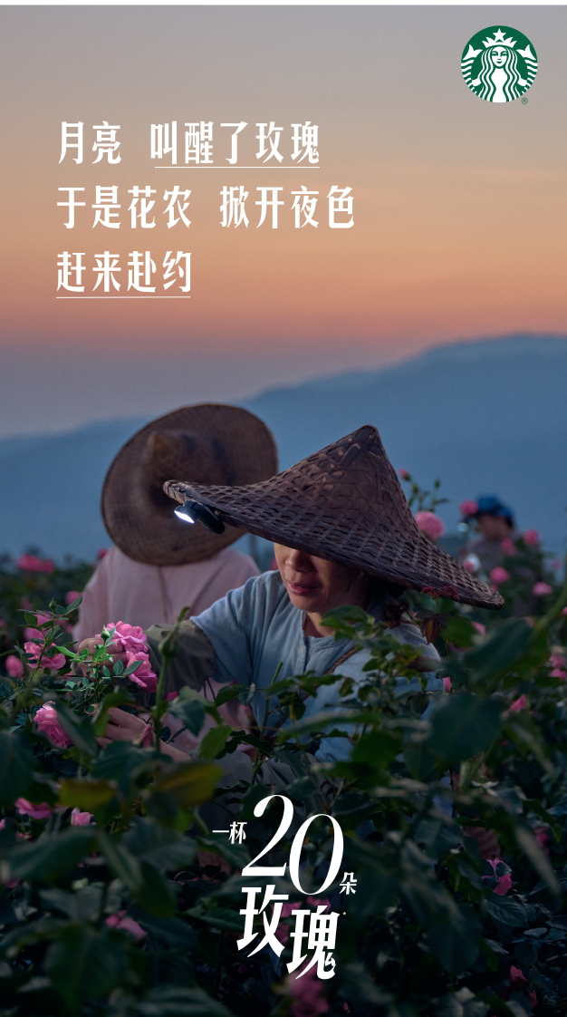 广告人干货库 星巴克「玫瑰20」:花与花农,高定为你-广告人干货库