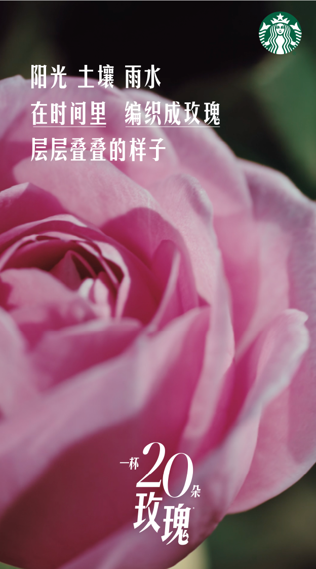 广告人干货库 星巴克「玫瑰20」:花与花农,高定为你-广告人干货库