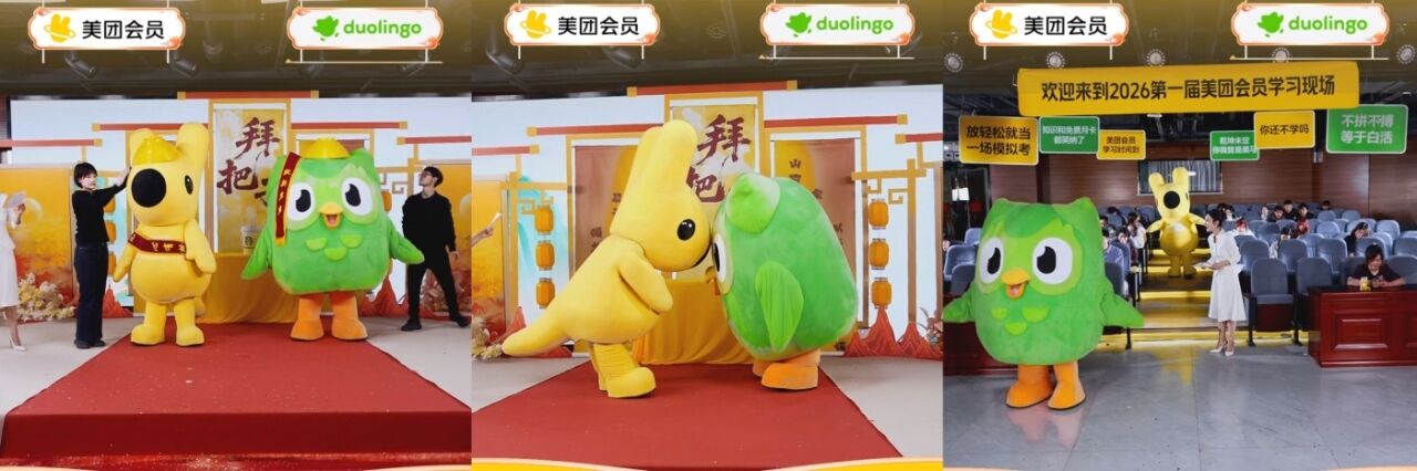 美团×多邻国：顶流的“离职再就业”之路-广告人干货库