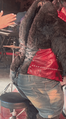 REDMI Note 15系列海外上市：金刚不坏，让意外不再有意外-广告人干货库