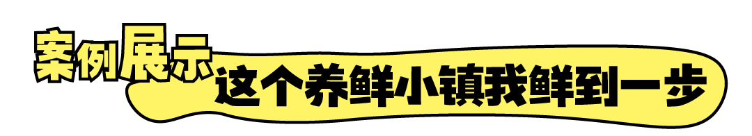 做个人吧！和品牌一起在抖音小红书上做个人吧！-广告人干货库
