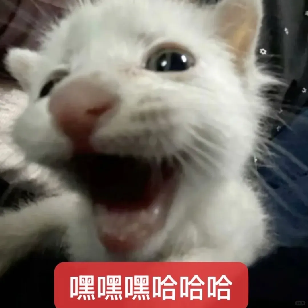 广告公司的freelancer多到甲方开始查社保证明了。。。-广告人干货库