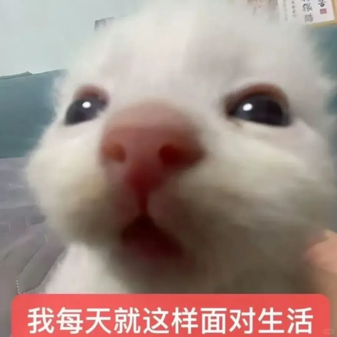 广告公司的freelancer多到甲方开始查社保证明了。。。-广告人干货库