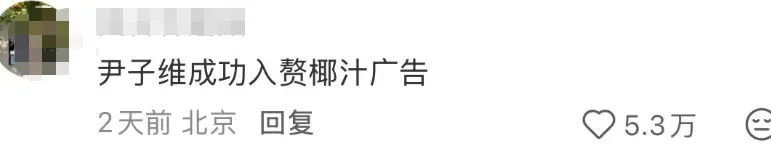 椰树太颠了！代言人婚纱照成网红打卡地，“土味营销”天花板！-广告人干货库