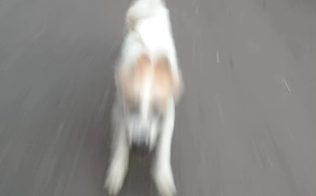 上海地铁广告，您是在赶时间吗？-广告人干货库