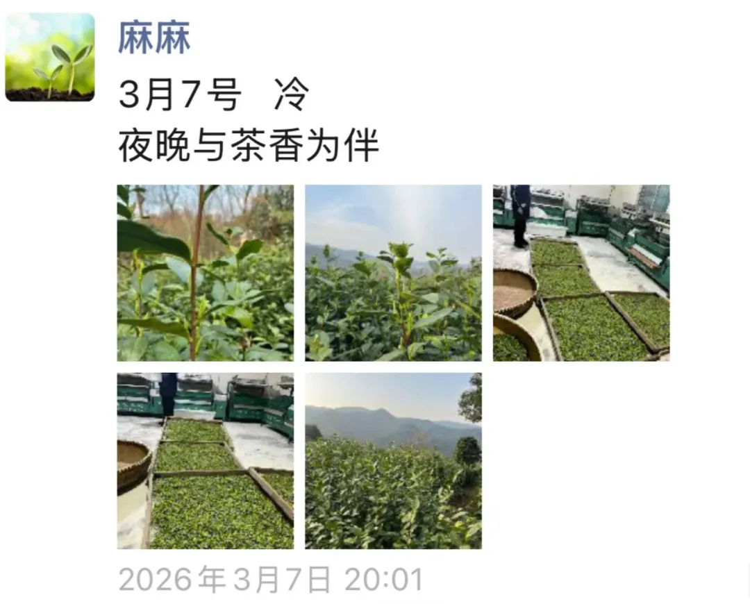 “喜茶公开了我妈的朋友圈！”网友：原来都是真的！-广告人干货库