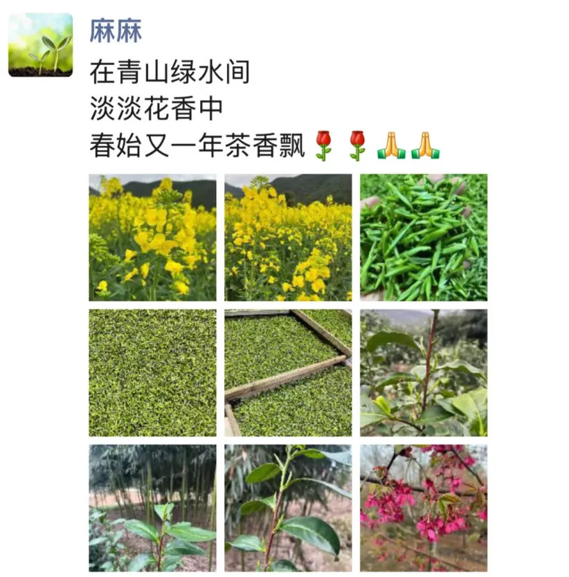 “喜茶公开了我妈的朋友圈！”网友：原来都是真的！-广告人干货库