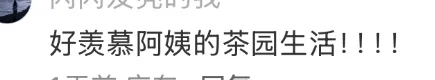 “喜茶公开了我妈的朋友圈！”网友：原来都是真的！-广告人干货库