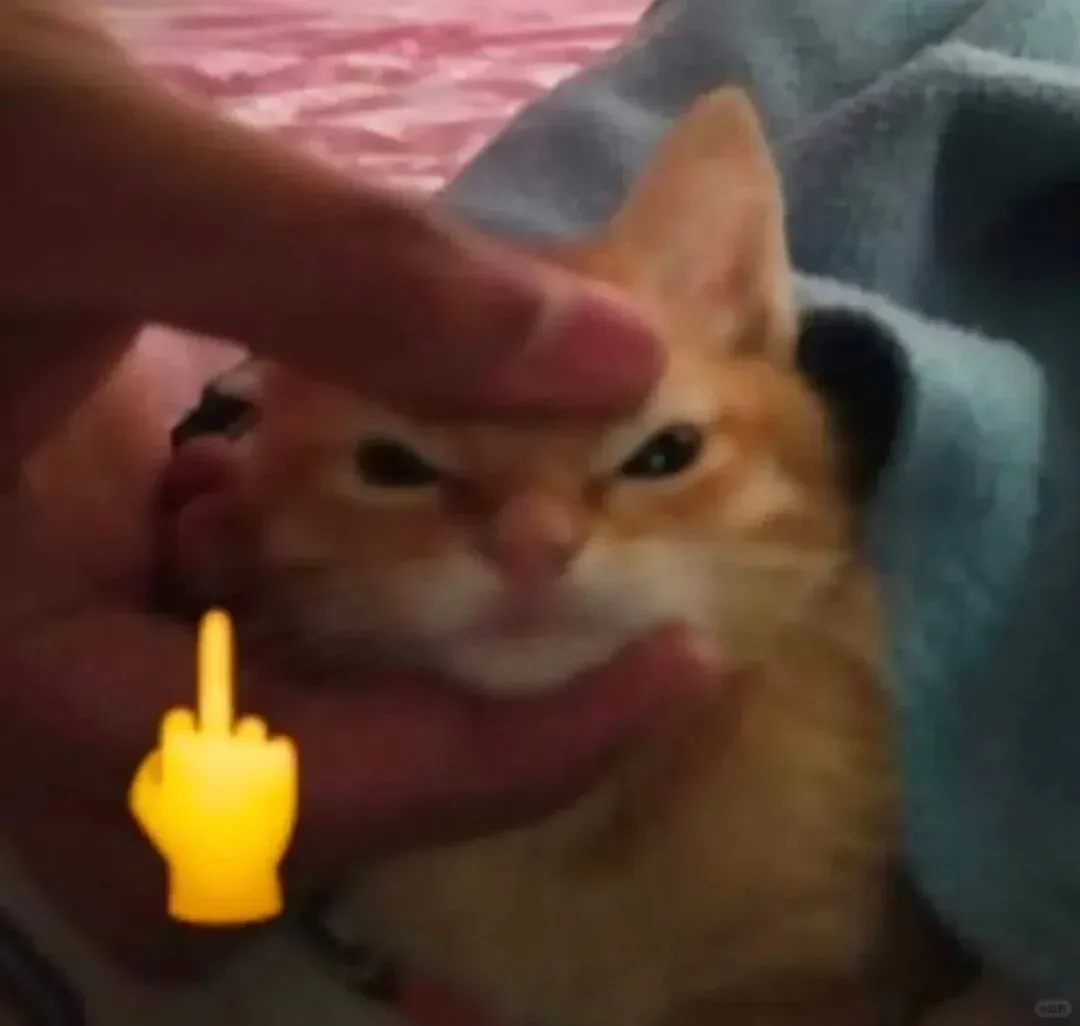 为了让甲方能结尾款，乙方在样片放上了日本小电影的音轨。。。。-广告人干货库