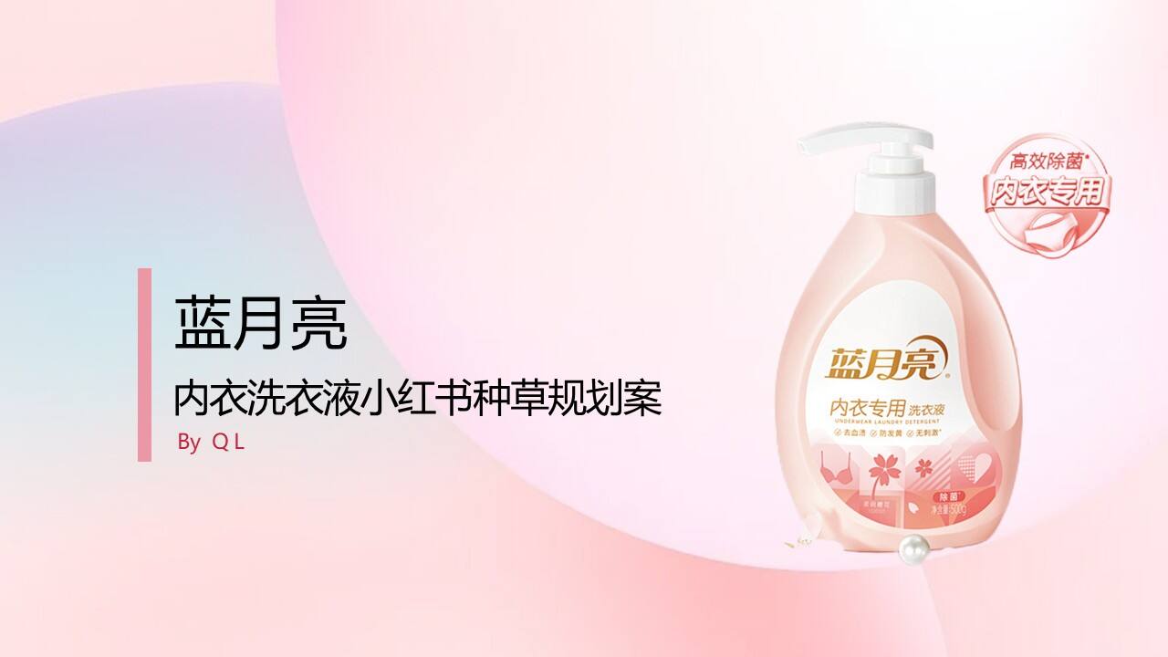 蓝月亮内衣洗衣液小红书种草规划案-广告人干货库