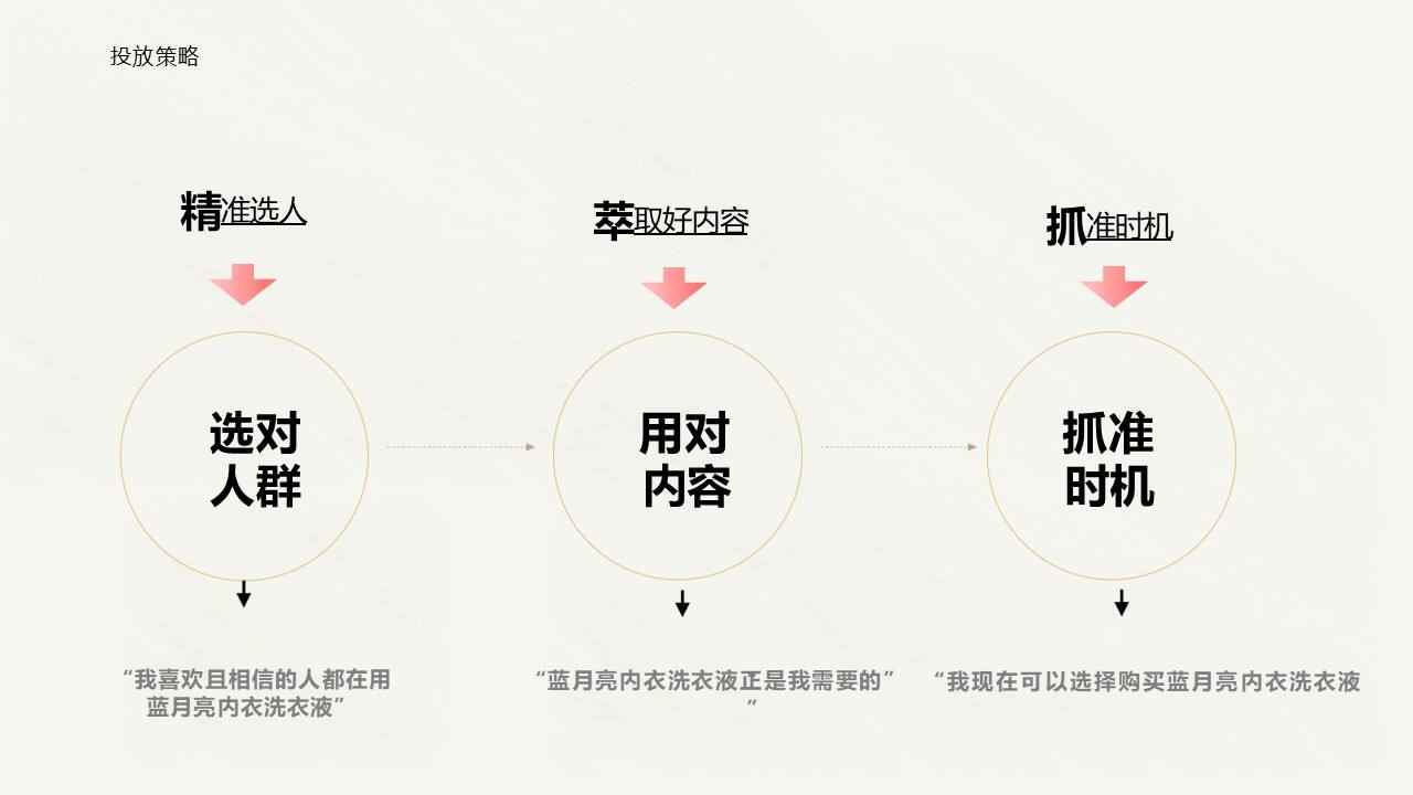 蓝月亮内衣洗衣液小红书种草规划案-广告人干货库