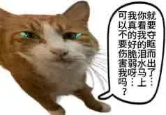 200人规模的甲方,品牌部就1个人,全年预算就3w?-广告人干货库